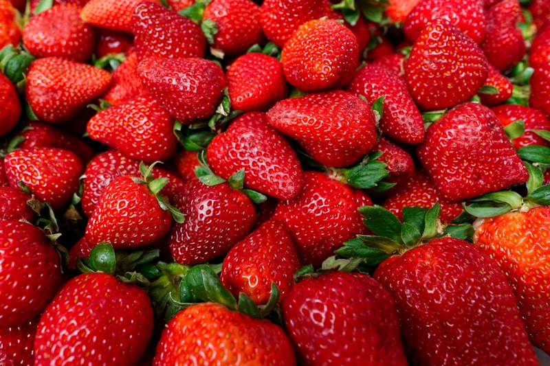 Morango