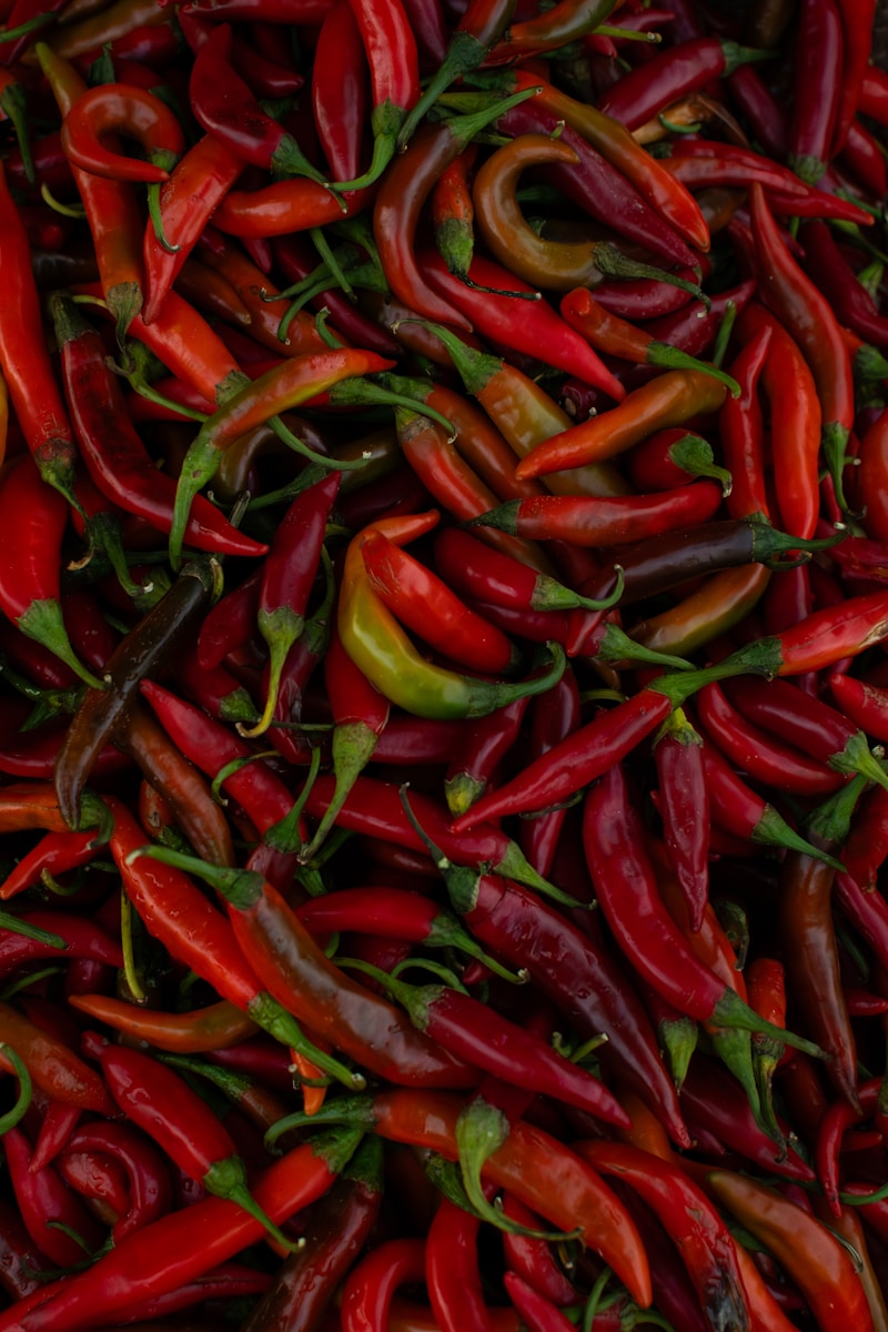 Pimenta